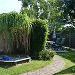 Moewe Og